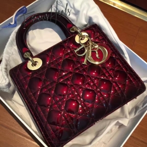 Dior Bag 010